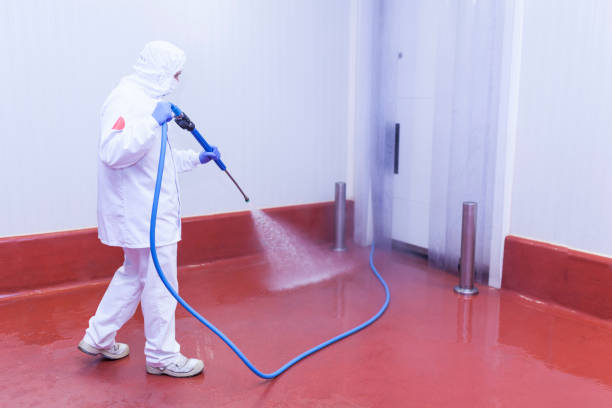 Best Building Exterior Washing  in Gentry, AR