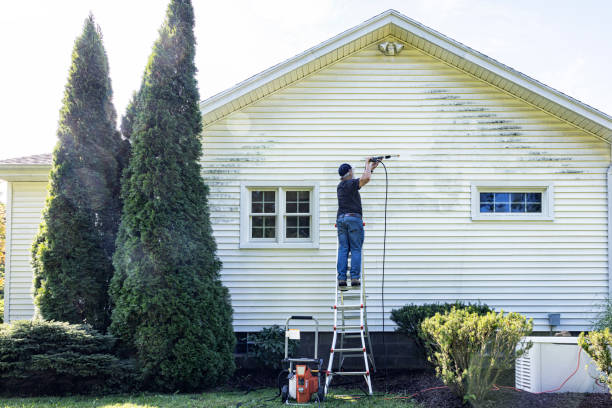 Best House Exterior Washing  in Gentry, AR